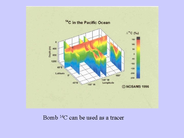 Bomb 14 C can be used as a tracer 