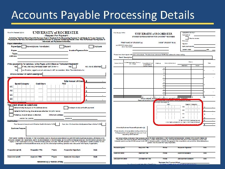 Accounts Payable Processing Details UR Financials Demo Days – March 2014 18 