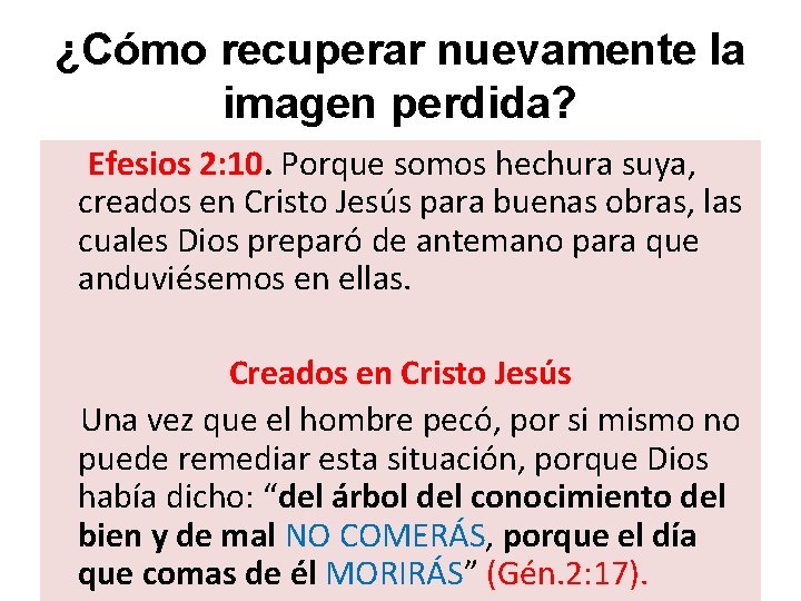 ¿Cómo recuperar nuevamente la imagen perdida? Efesios 2: 10. Porque somos hechura suya, creados