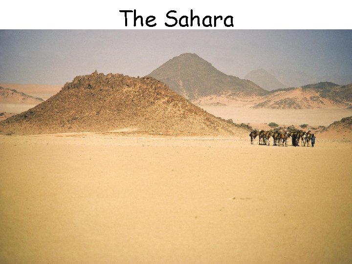 The Sahara 