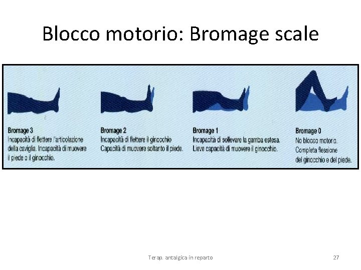 Blocco motorio: Bromage scale Terap. antalgica in reparto 27 