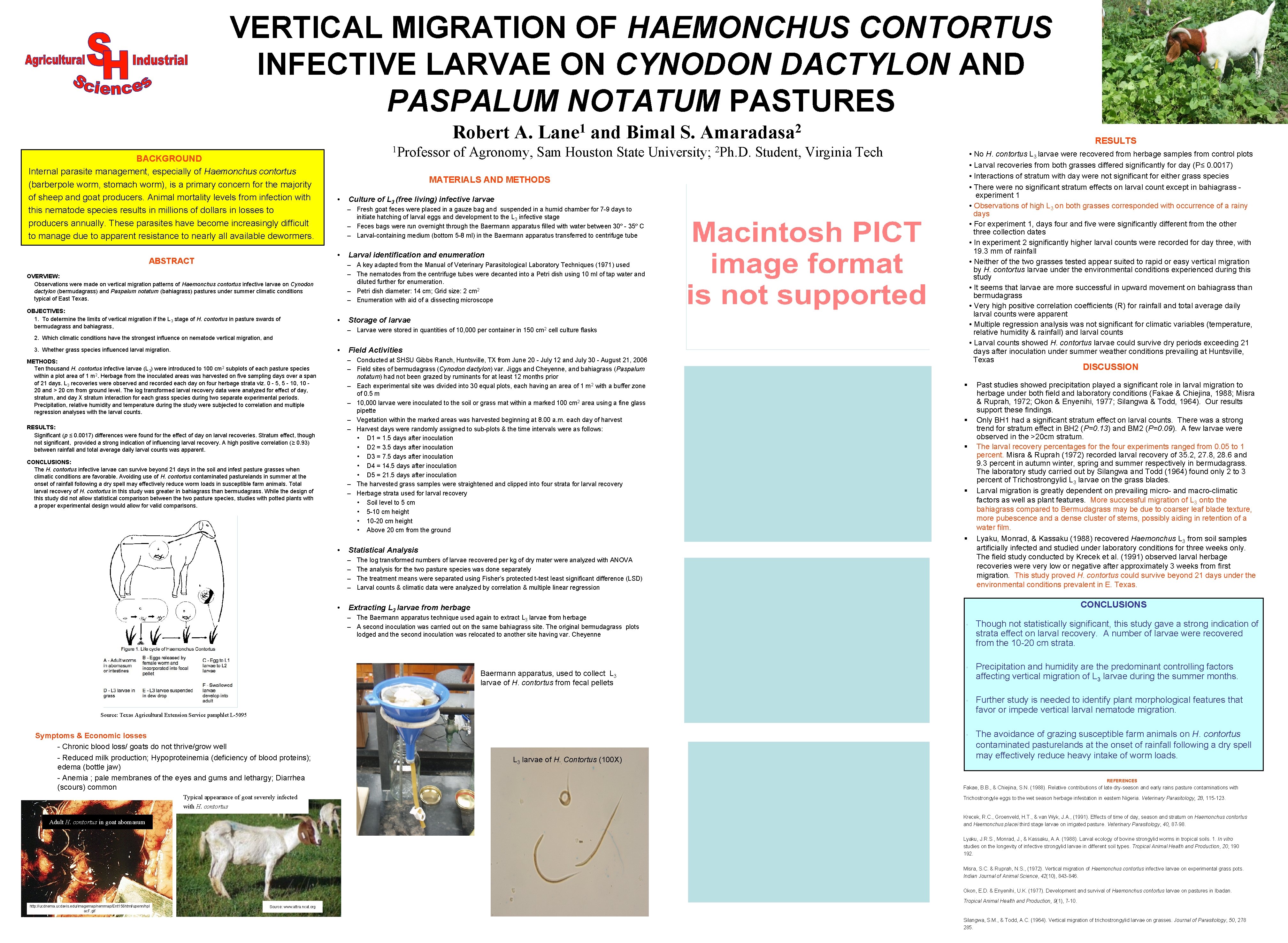 VERTICAL MIGRATION OF HAEMONCHUS CONTORTUS INFECTIVE LARVAE ON CYNODON DACTYLON AND PASPALUM NOTATUM PASTURES