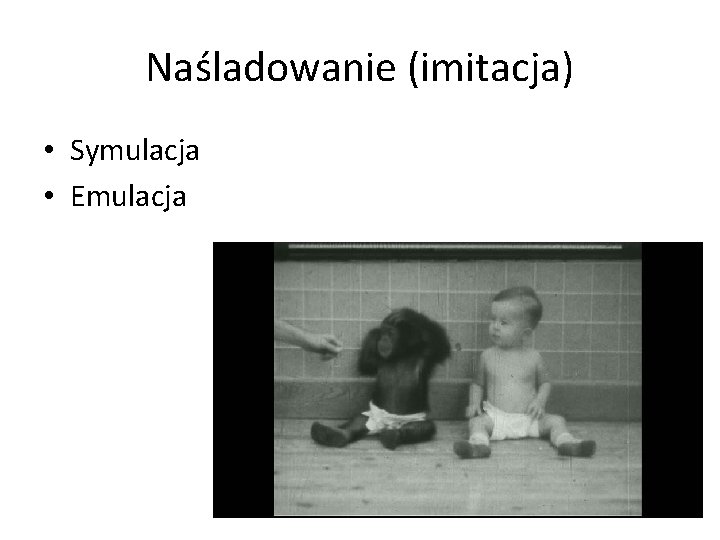 Naśladowanie (imitacja) • Symulacja • Emulacja 