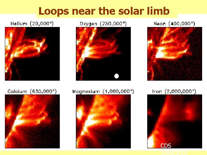 Loops near the solar limb CDS Loop Observations CDS 1998/3/23 