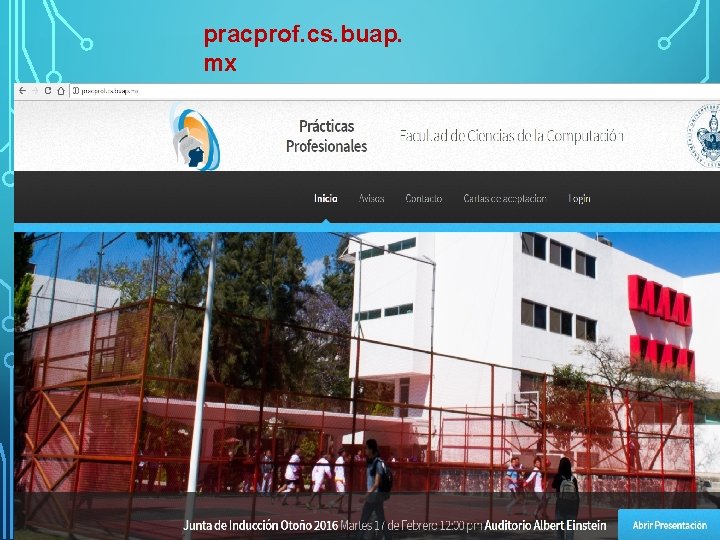 pracprof. cs. buap. mx 