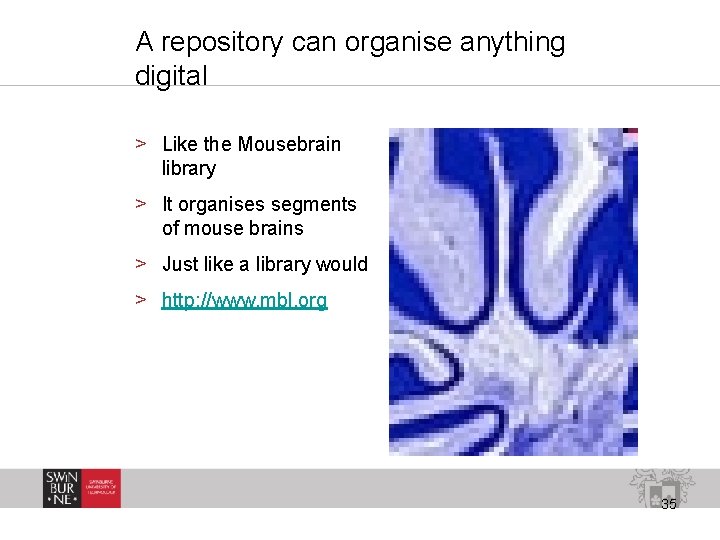 A repository can organise anything digital > Like the Mousebrain library > It organises