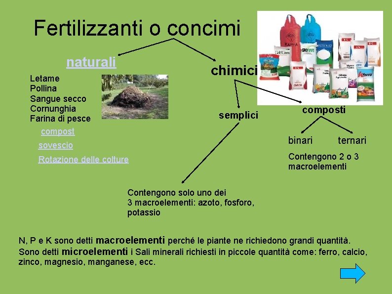 Fertilizzanti o concimi naturali chimici Letame Pollina Sangue secco Cornunghia Farina di pesce compost