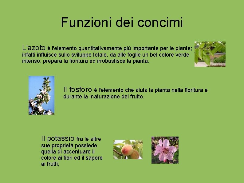 Funzioni dei concimi L'azoto è l'elemento quantitativamente più importante per le piante; infatti influisce