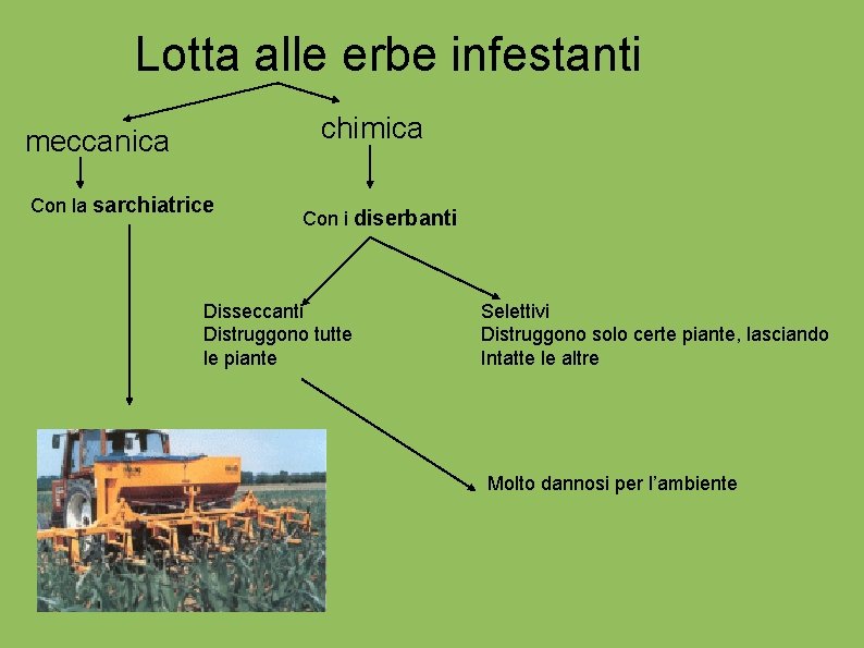 Lotta alle erbe infestanti chimica meccanica Con la sarchiatrice Con i diserbanti Disseccanti Distruggono