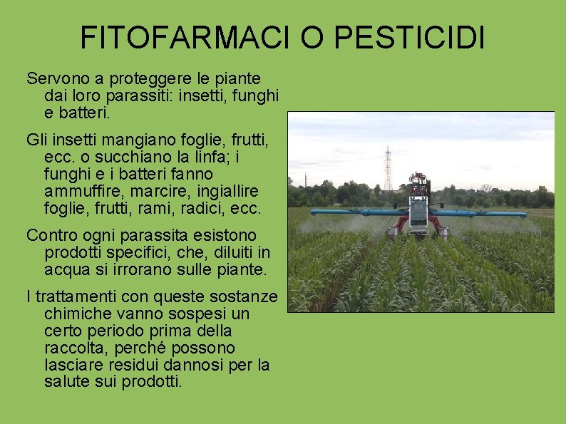 FITOFARMACI O PESTICIDI Servono a proteggere le piante dai loro parassiti: insetti, funghi e