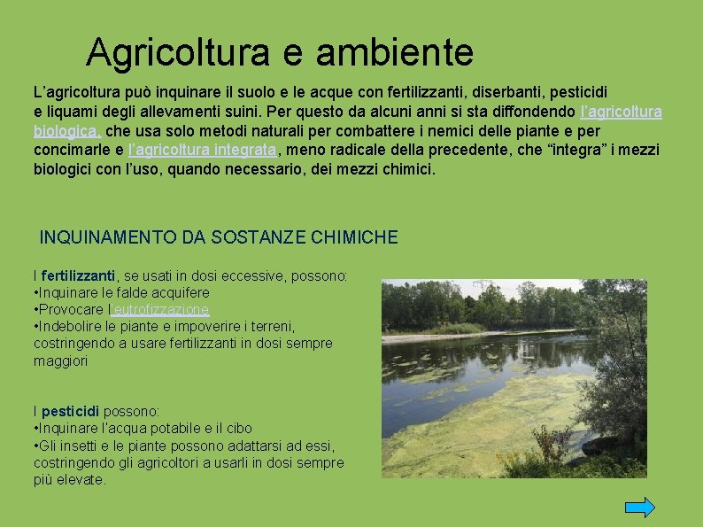 Agricoltura e ambiente L’agricoltura può inquinare il suolo e le acque con fertilizzanti, diserbanti,