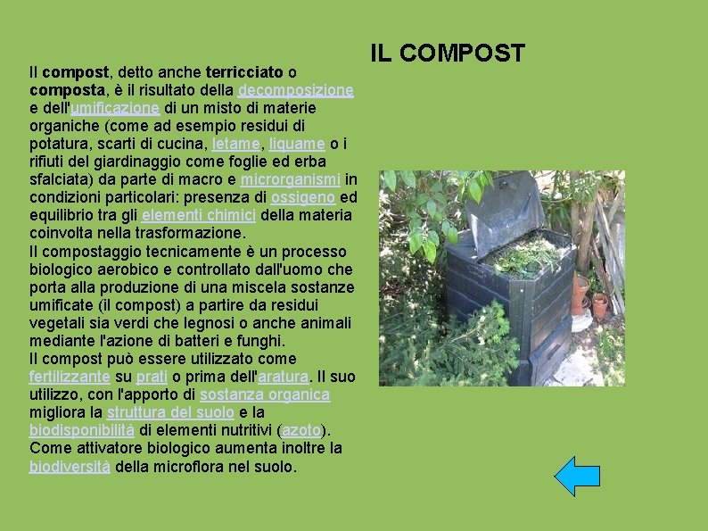 Il compost, detto anche terricciato o composta, è il risultato della decomposizione e dell'umificazione