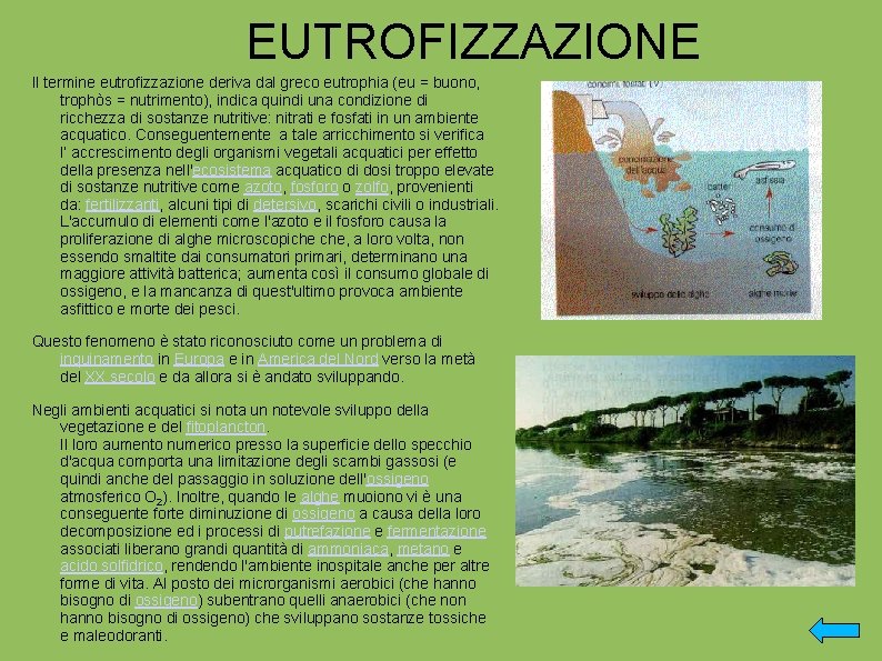 EUTROFIZZAZIONE Il termine eutrofizzazione deriva dal greco eutrophia (eu = buono, trophòs = nutrimento),