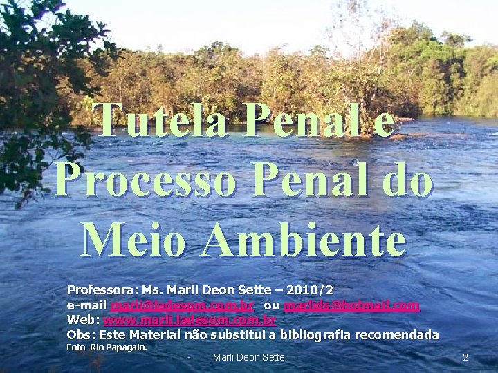 Tutela Penal e TUTELA e Processo Penal do RESPONSABILIDADE PENAL Meio. Lei. Ambiente 9605/98