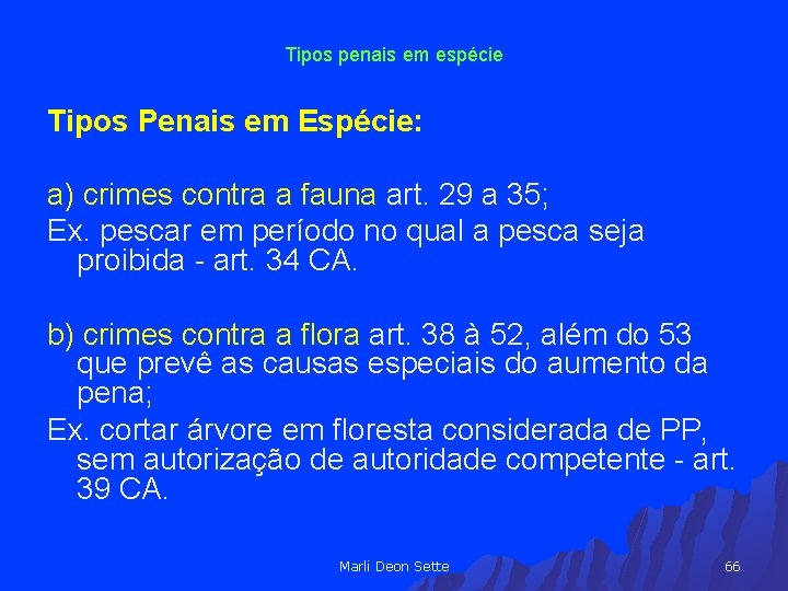 Tipos penais em espécie Tipos Penais em Espécie: a) crimes contra a fauna art.