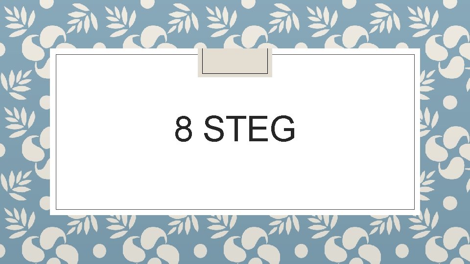 8 STEG 