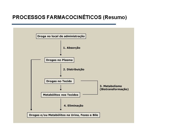 PROCESSOS FARMACOCINÉTICOS (Resumo) 