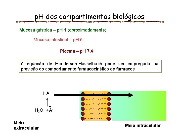 p. H dos compartimentos biológicos Mucosa gástrica – p. H 1 (aproximadamente) Mucosa intestinal