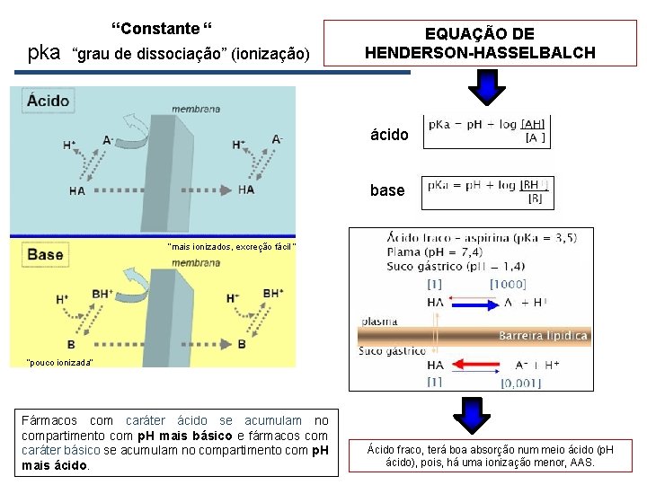 “Constante “ pka “grau de dissociação” (ionização) EQUAÇÃO DE HENDERSON-HASSELBALCH ácido base “mais ionizados,