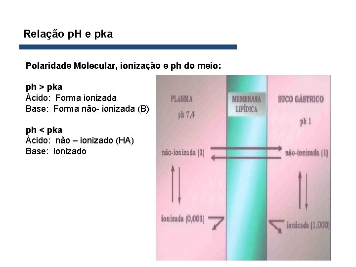 Relação p. H e pka Polaridade Molecular, ionização e ph do meio: ph >