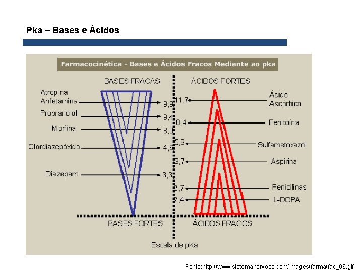 Pka – Bases e Ácidos Fonte: http: //www. sistemanervoso. com/images/farma/fac_06. gif 