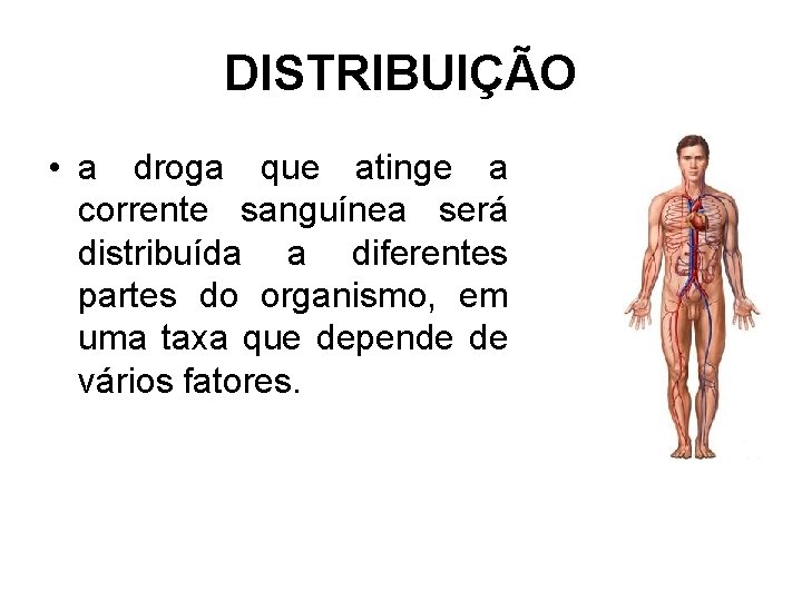 DISTRIBUIÇÃO • a droga que atinge a corrente sanguínea será distribuída a diferentes partes