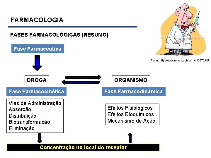 FARMACOLOGIA FASES FARMACOLÓGICAS (RESUMO) Fase Farmacêutica Fonte: http: //www. fotosearch. com/u 13272187 DROGA Fase