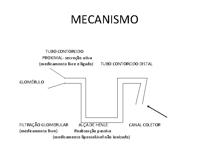 MECANISMO TUBO CONTORCIDO PROXIMAL- secreção ativa (medicamento livre e ligado) TUBO CONTORCIDO DISTAL GLOMÉRULO