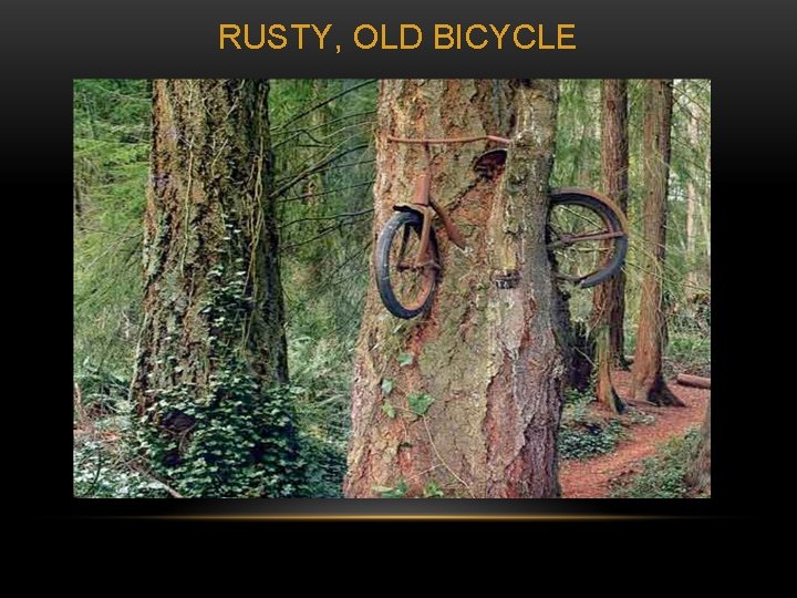 RUSTY, OLD BICYCLE 