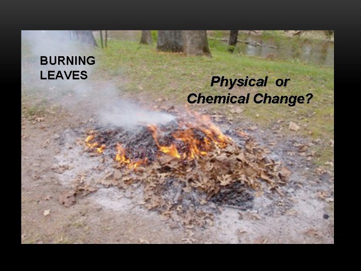 BURNING LEAVES Physical or Chemical Change? 