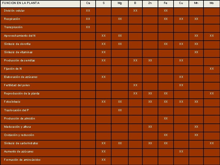 FUNCION EN LA PLANTA Ca S Mg B Zn Fe Cu Mn Mo División