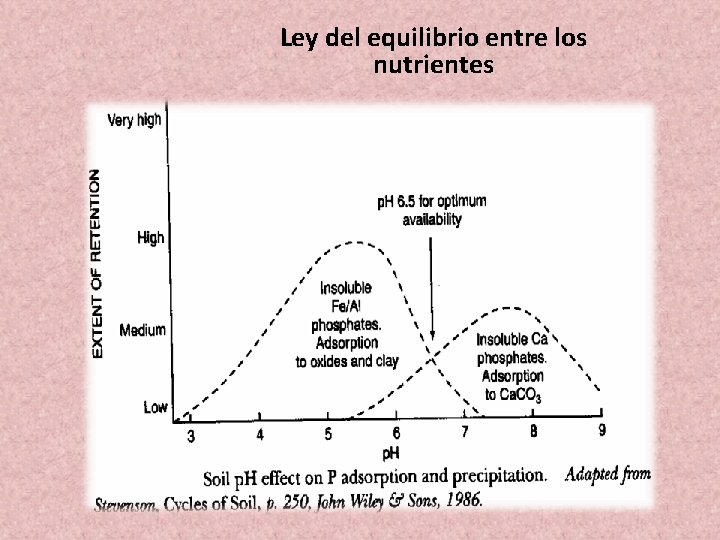 Ley del equilibrio entre los nutrientes 