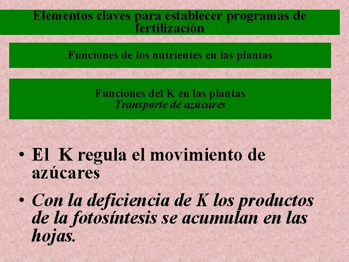 Elementos claves para establecer programas de fertilización Funciones de los nutrientes en las plantas