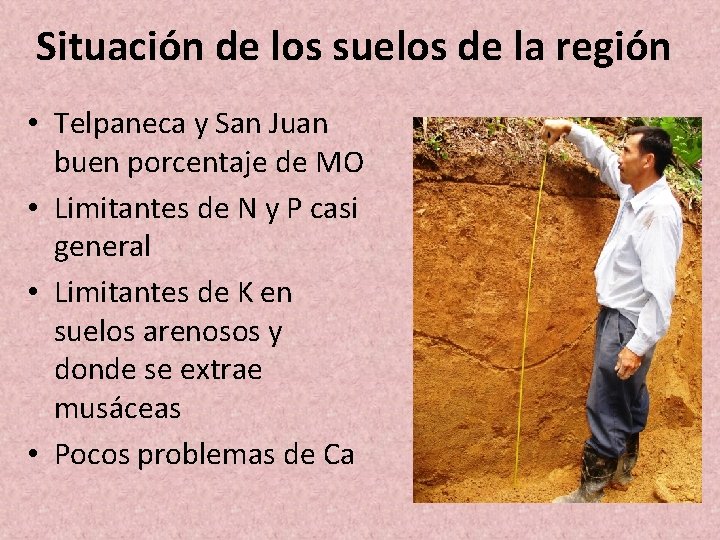 Situación de los suelos de la región • Telpaneca y San Juan buen porcentaje