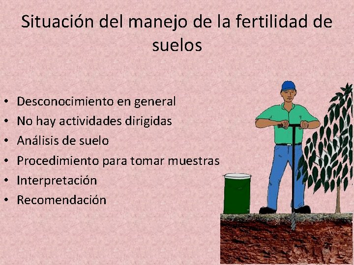 Situación del manejo de la fertilidad de suelos • • • Desconocimiento en general