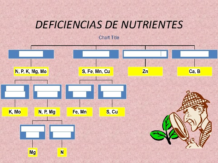 DEFICIENCIAS DE NUTRIENTES 