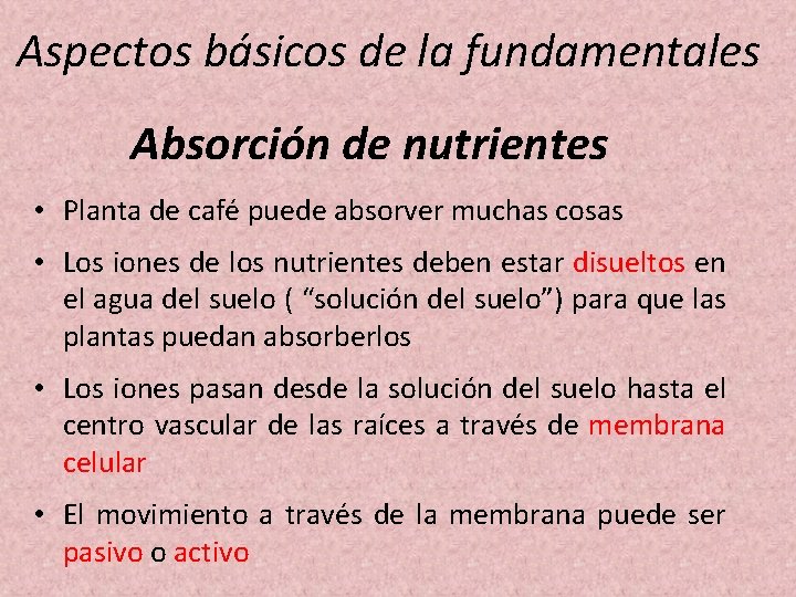 Aspectos básicos de la fundamentales Absorción de nutrientes • Planta de café puede absorver