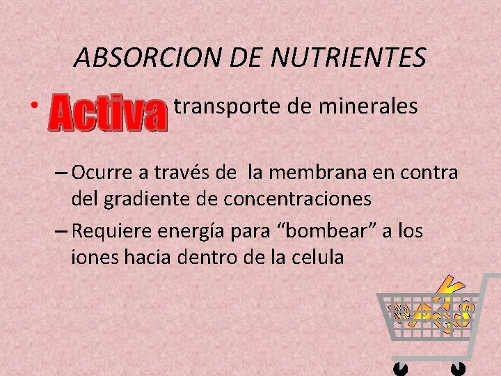 ABSORCION DE NUTRIENTES • transporte de minerales – Ocurre a través de la membrana
