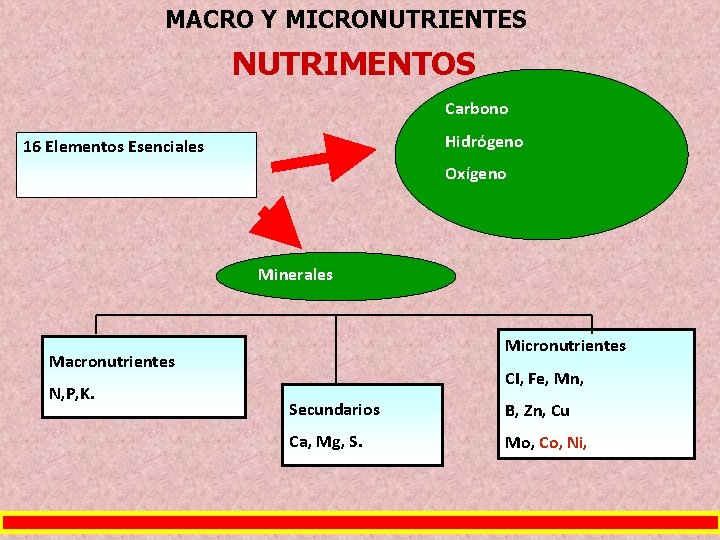 MACRO Y MICRONUTRIENTES NUTRIMENTOS Carbono Hidrógeno 16 Elementos Esenciales Oxígeno Minerales Micronutrientes Macronutrientes N,