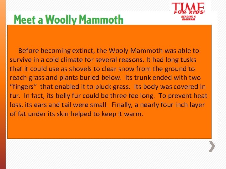 Before becoming extinct, the Wooly Mammoth was able to survive in a cold climate