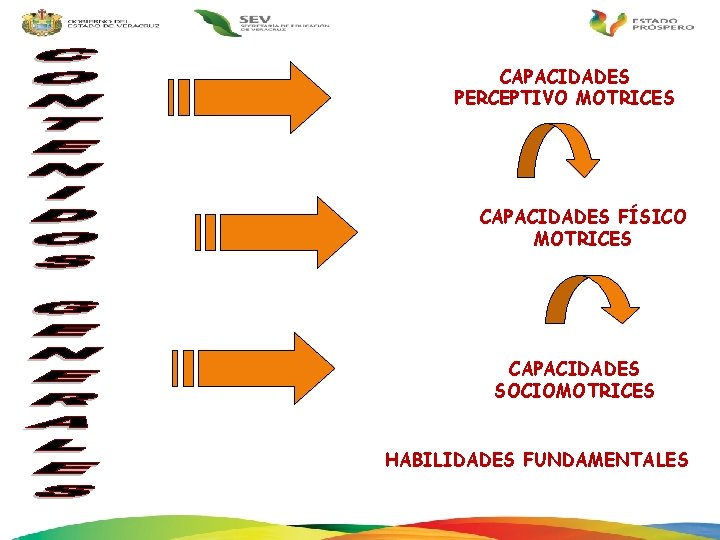 CAPACIDADES PERCEPTIVO MOTRICES CAPACIDADES FÍSICO MOTRICES CAPACIDADES SOCIOMOTRICES HABILIDADESFUNDAMENTALES HABILIDADES 