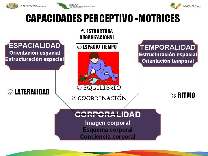 CAPACIDADES PERCEPTIVO -MOTRICES J ESTRUCTURA ORGANIZACIONAL ESPACIALIDAD Orientación espacial Estructuración espacial J LATERALIDAD J