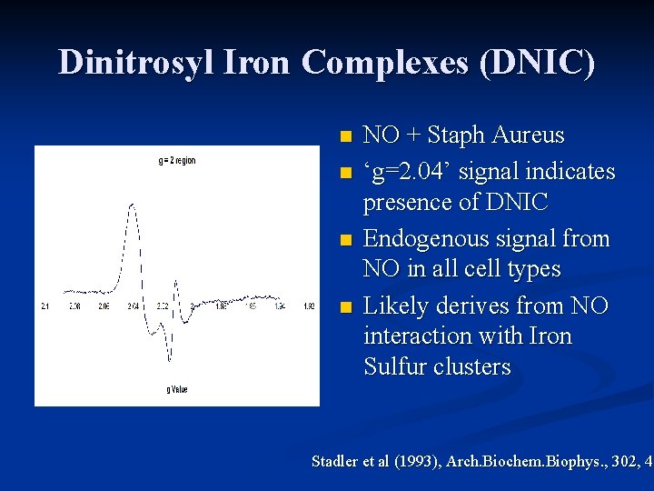 Dinitrosyl Iron Complexes (DNIC) n n NO + Staph Aureus ‘g=2. 04’ signal indicates