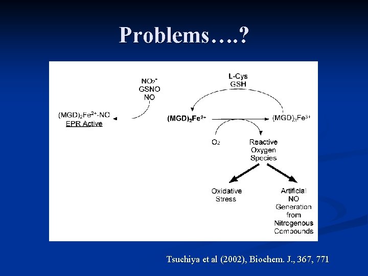 Problems…. ? Tsuchiya et al (2002), Biochem. J. , 367, 771 