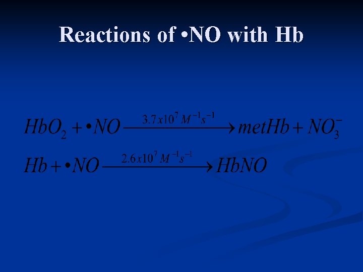 Reactions of • NO with Hb 