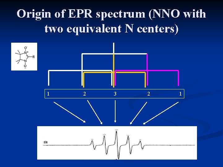 Origin of EPR spectrum (NNO with two equivalent N centers) 1 2 3 2