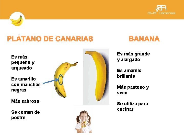 PLÁTANO DE CANARIAS Es más pequeño y arqueado Es amarillo con manchas negras Más