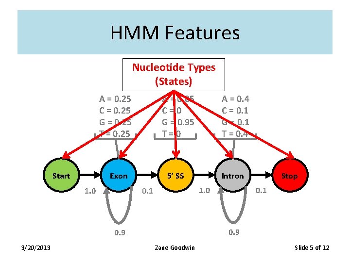 HMM Features Nucleotide Types (States) A = 0. 05 C=0 G = 0. 95 HMM Features Nucleotide Types (States) A = 0. 05 C=0 G = 0. 95