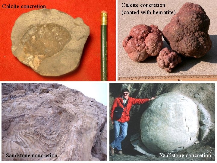 Calcite concretion Sandstone concretion Calcite concretion (coated with hematite) Sandstone concretion 