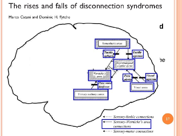 Disconnections between sensory areas and Wernicke’s area Modality-specific language deficits Disconnections can be direct